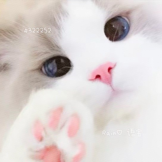 QQ322252头像