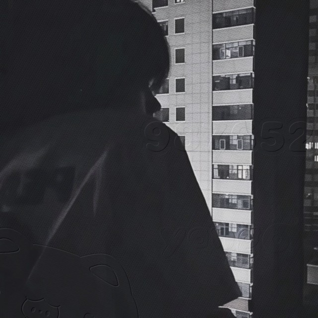 QQ37364头像