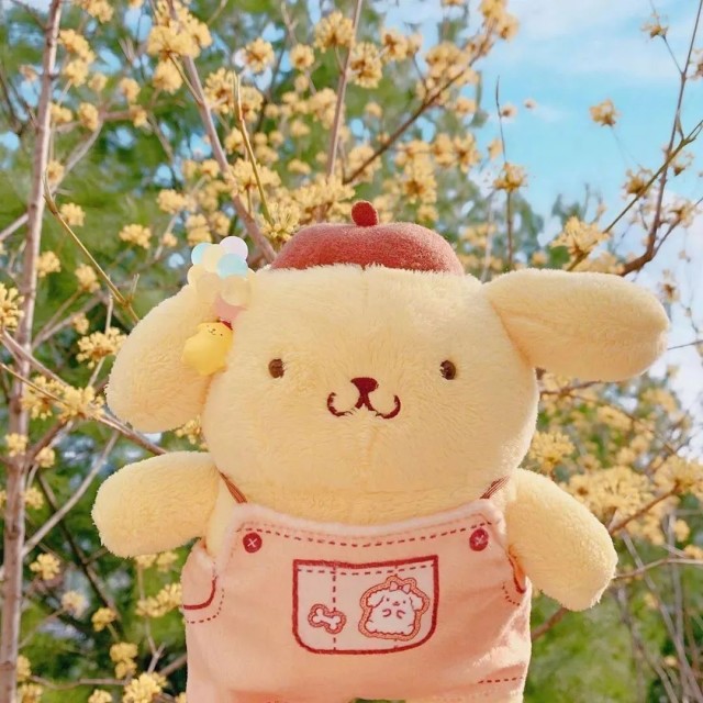QQ44442头像